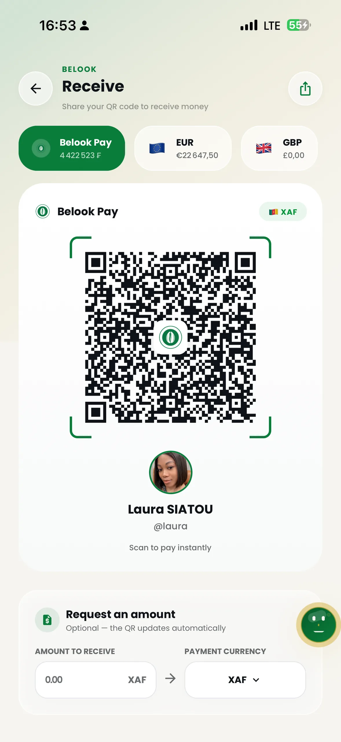 Belook Pay UI